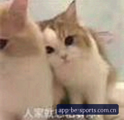 张先生